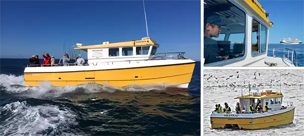 Charter Boat 'Meerkat'