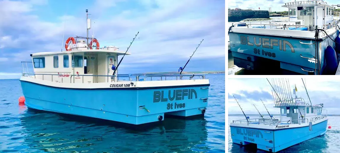 Bluefin