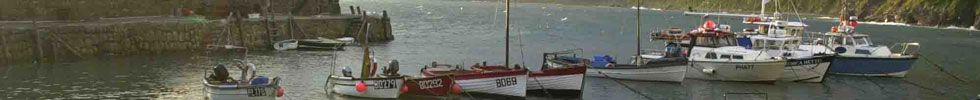 clovelly_harbour.jpg